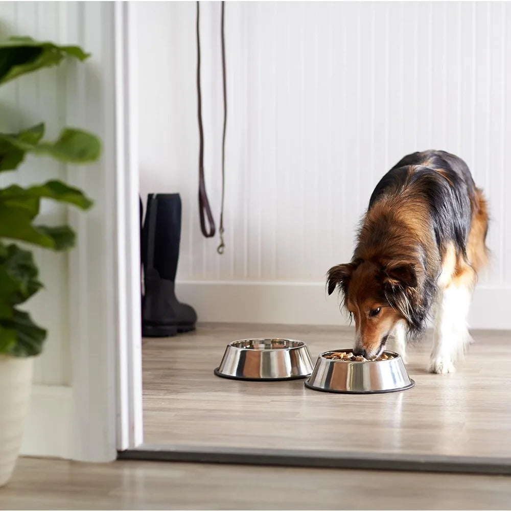 Stainless steel non-slip dog water/food bowls, 2-pack (10 x 2.8 inches), each with a capacity of up to 38 ounces.