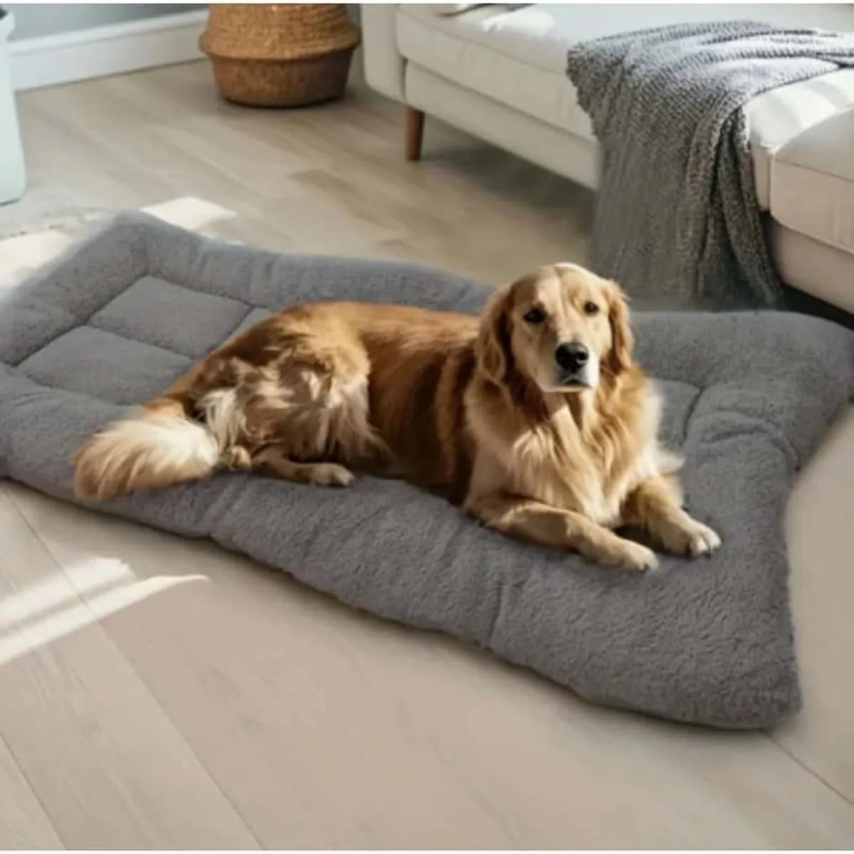 All Season Thickened Plush Dog Bed - Spacious Anti-Slip Pet Sofa for Small and Medium Dogs - Super Soft Washable Polyester
