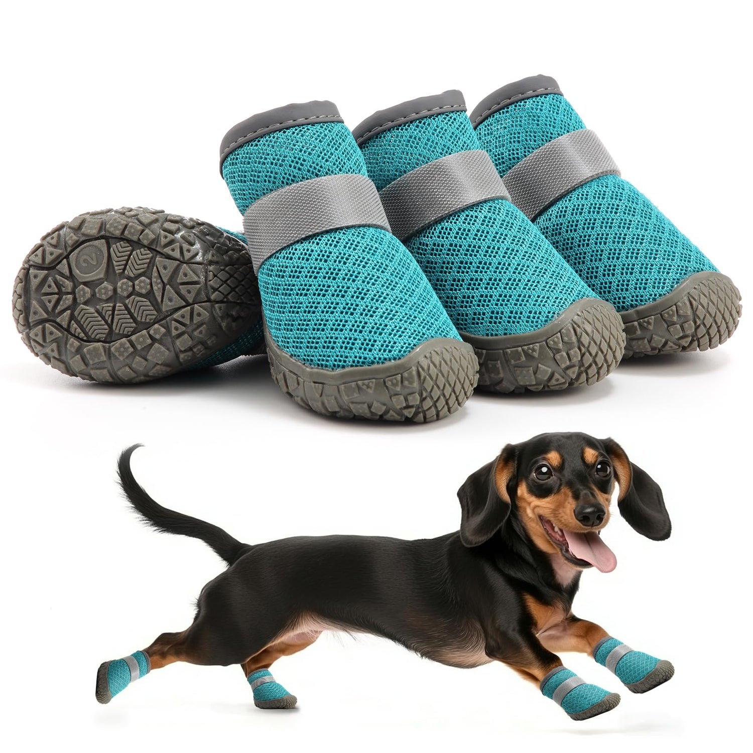 Boots & Paw Wear