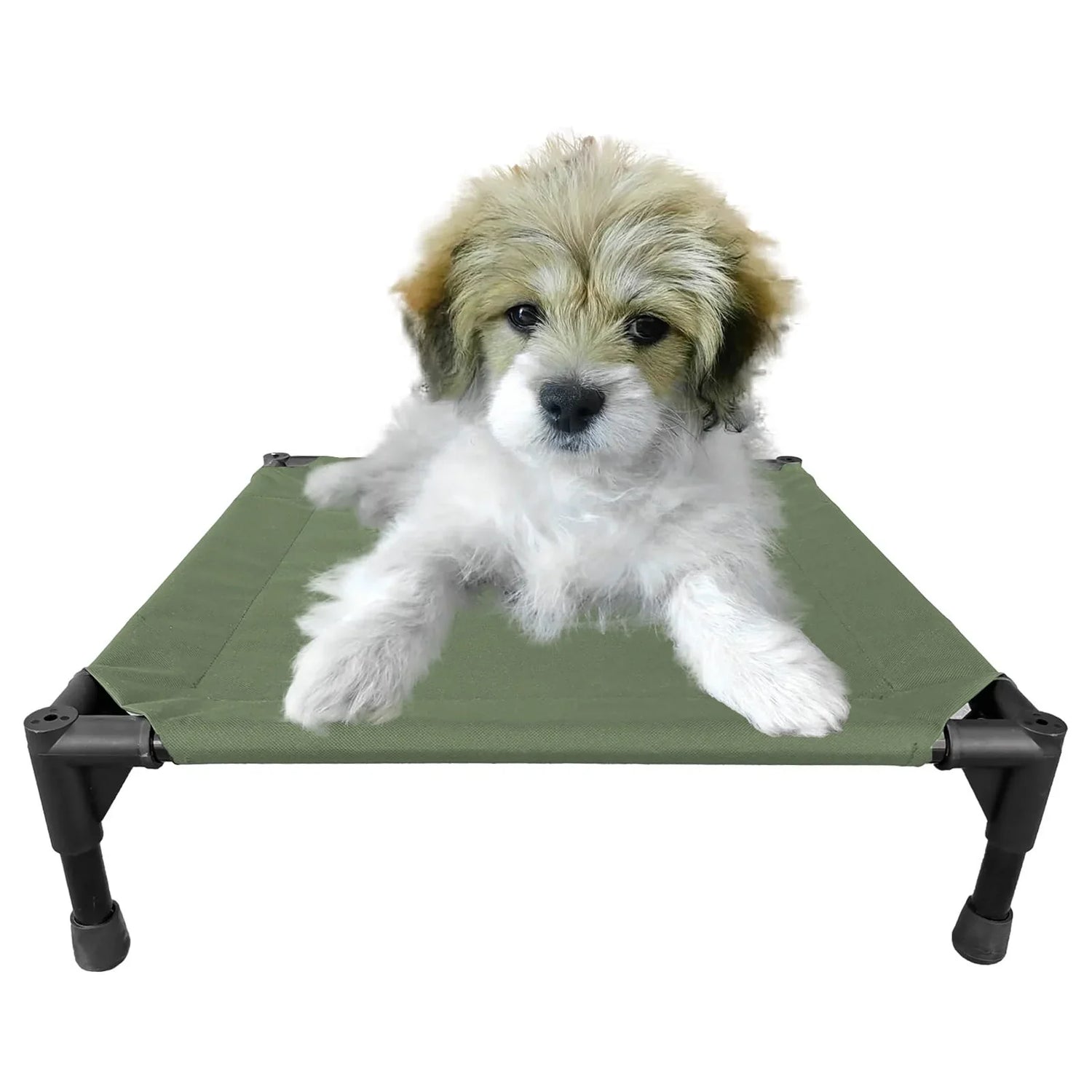 Elevated Beds