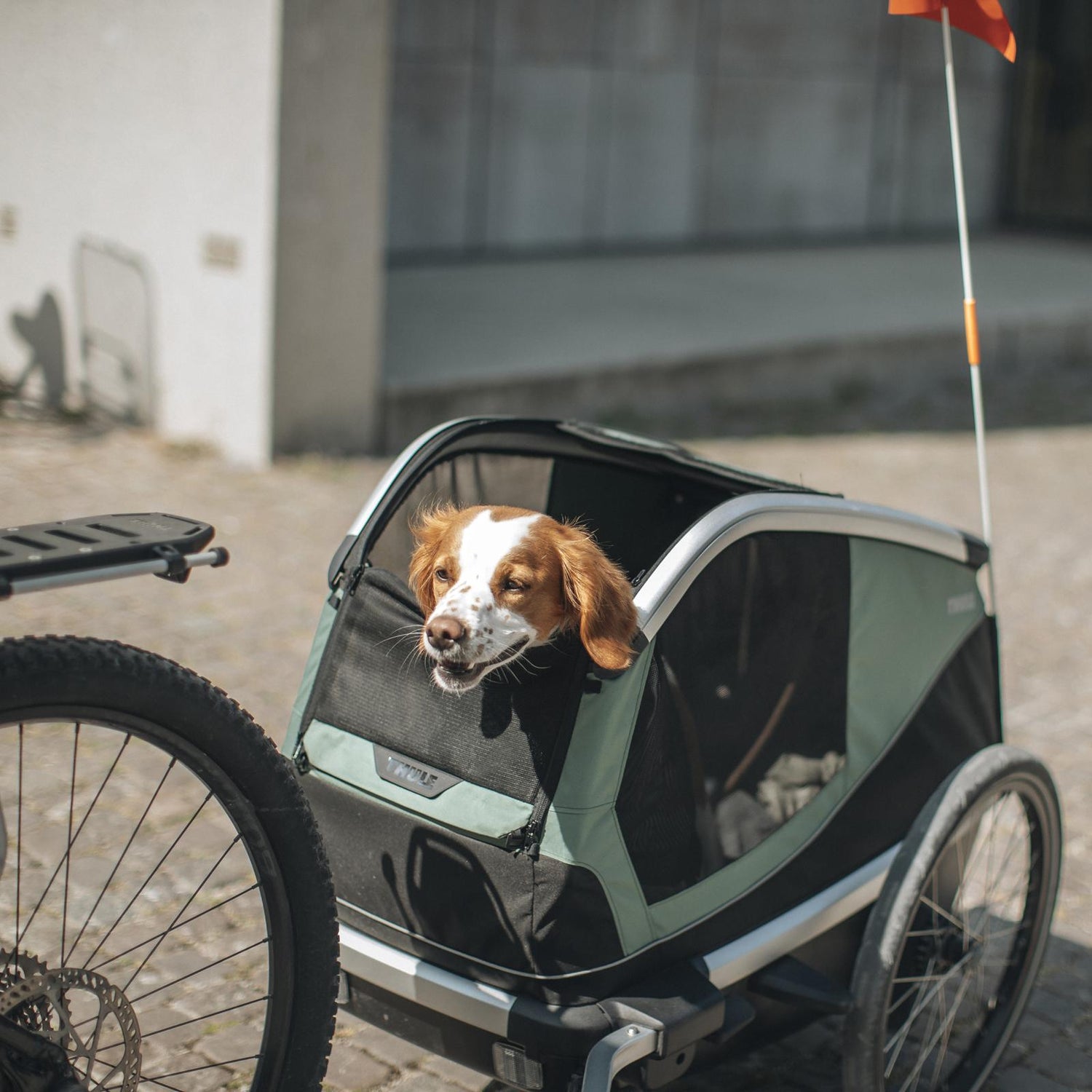 Bicycle Carriers