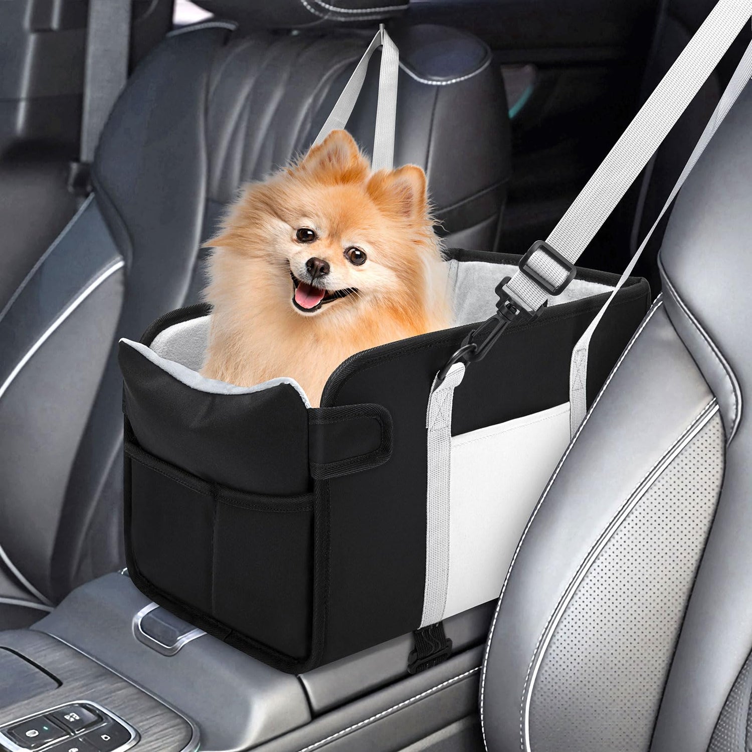 Car Seats & Accessories