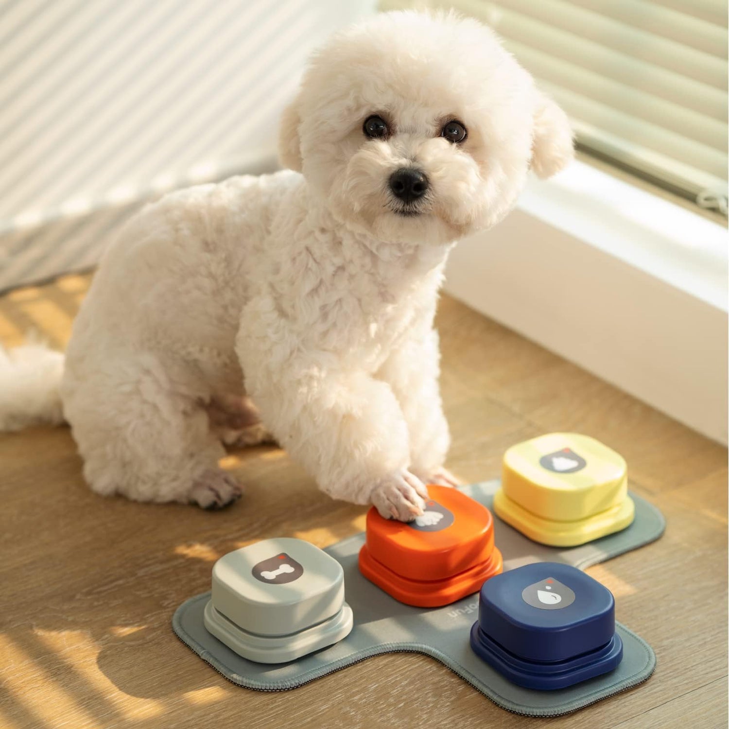 Interactive Dog Toys