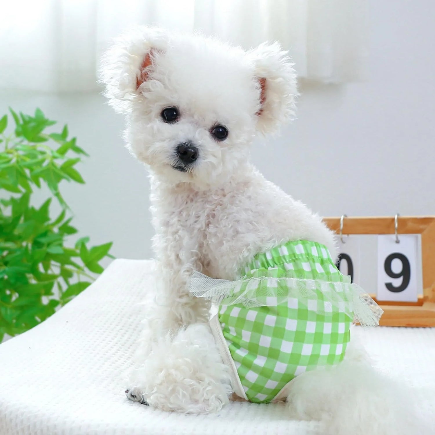 Diapers & Wearable Pads