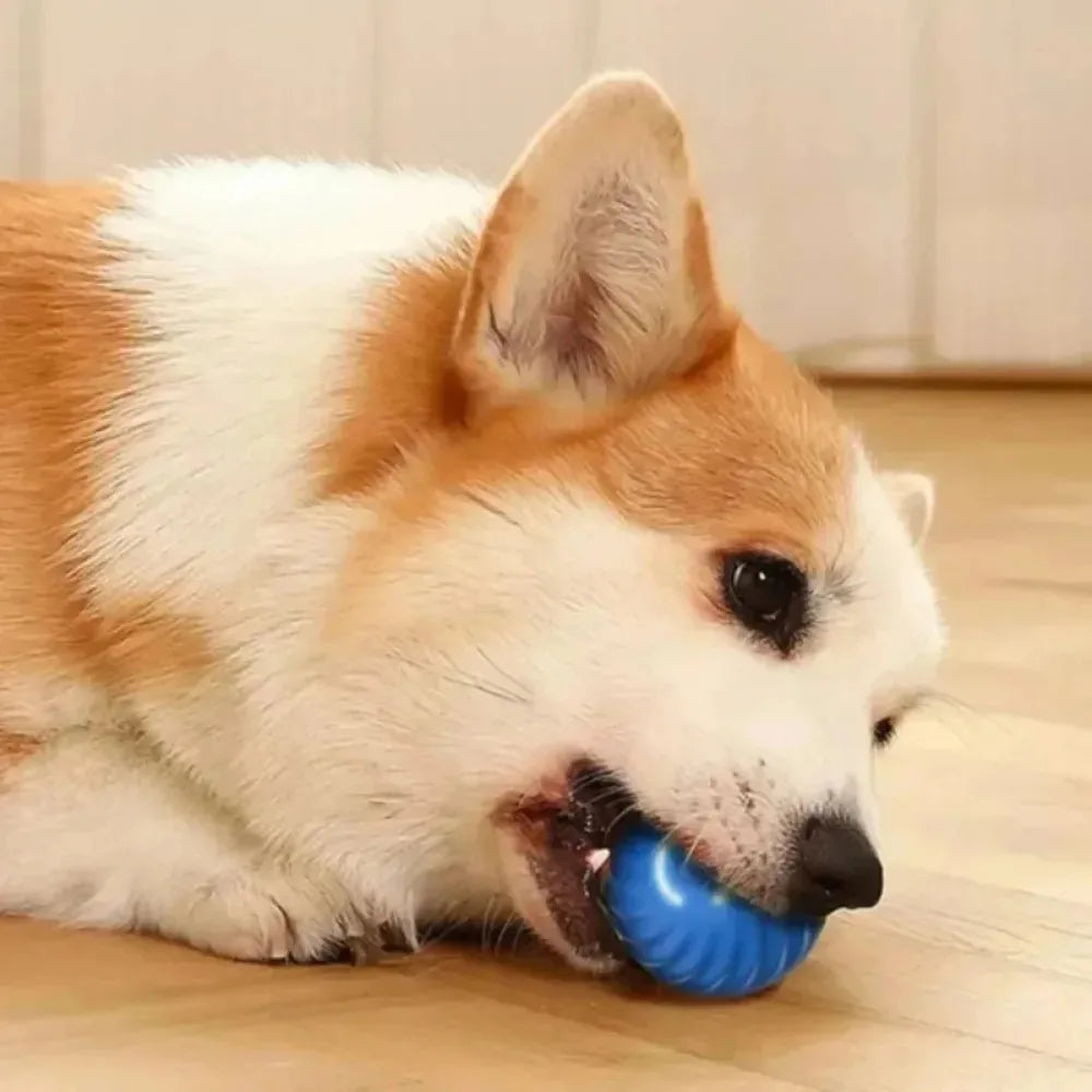 Automatic Moving Dog Toy Ball Yellow USB Rechargeable Smart Interactive Bouncing & Rolling Chew Toy for Small Dogs