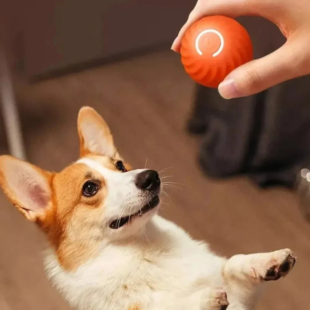 Automatic Moving Dog Toy Ball Yellow USB Rechargeable Smart Interactive Bouncing & Rolling Chew Toy for Small Dogs