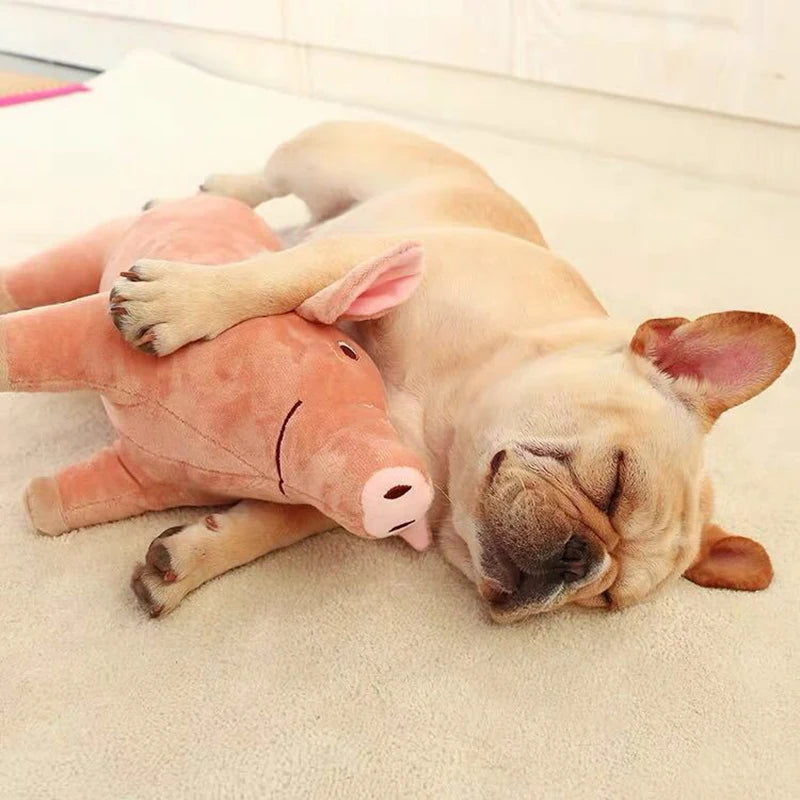 Plush Pig Soothing Sleeping Toys for Small Dogs French Bulldog Bite Molar Venting Supplies Puppy Dog Playing Toy