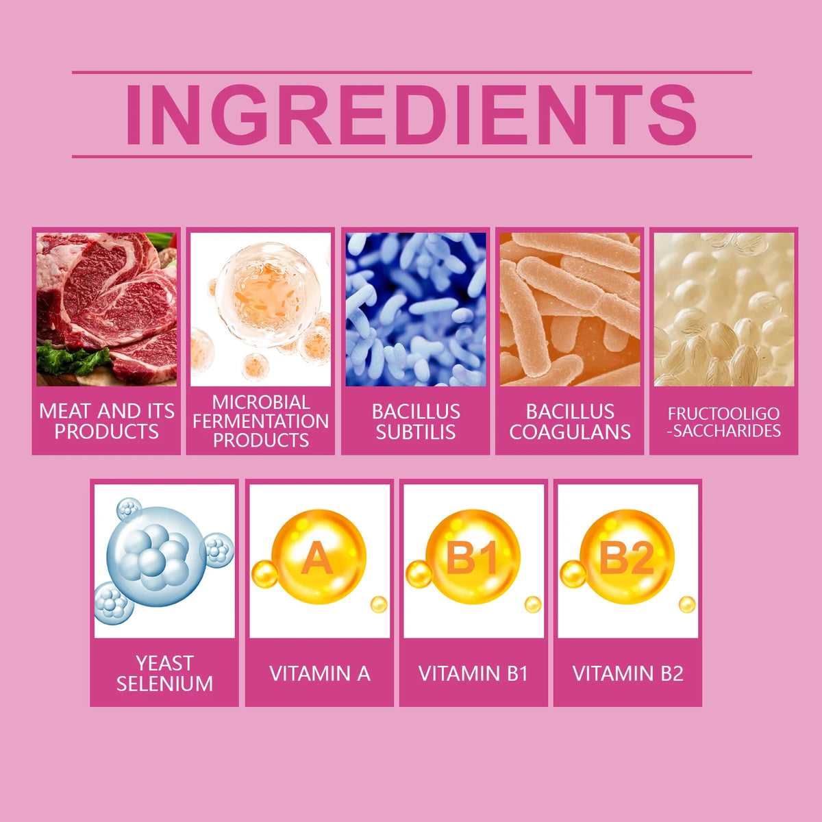 Pet Probiotic Chewable Tablets for Dogs Digestive Health Gut Flora Immune Support Diarrhea Relief Prebiotics Digestive Enzymes Chicken Flavor Daily Supplement for Puppy Sensitive Stomach Safe Natural Effective