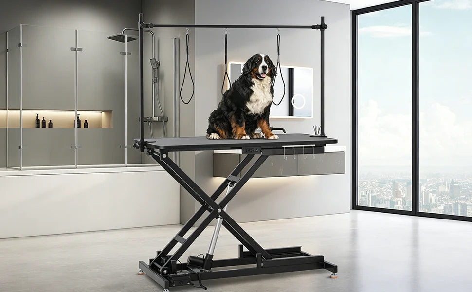 Electric Dog Grooming Table, Height Adjustable Pet Grooming Table with Arm, 264LBS Capacity, Anti-Slip Top & Tool Organizer, for Home/Professional Use, Black