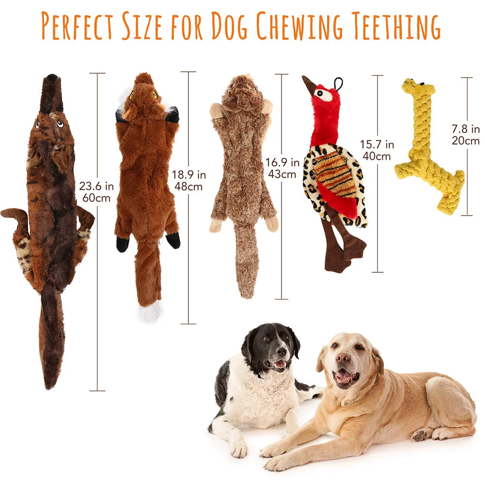 5 Piece Crinkle Dog Squeaky Toys, Durable Plush Dog Toys, No Stuffing Dog Toys for Small Medium and Large Dogs