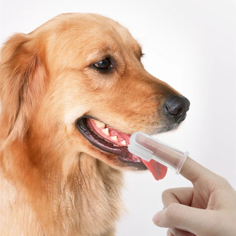 Super Soft Dog Toothbrushes Cleaning Finger Brush For Dog  Grooming Nontoxic  Toothbrush  Dental Care Products