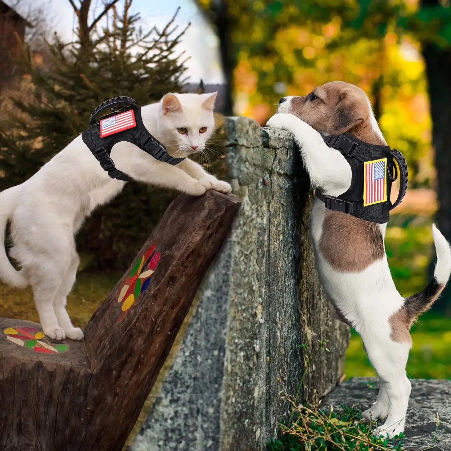 Tactical Puppy Harness Leash Set For Small Dogs, Adjustable Harnesses Vest For Training Walking Military Dog Accessories
