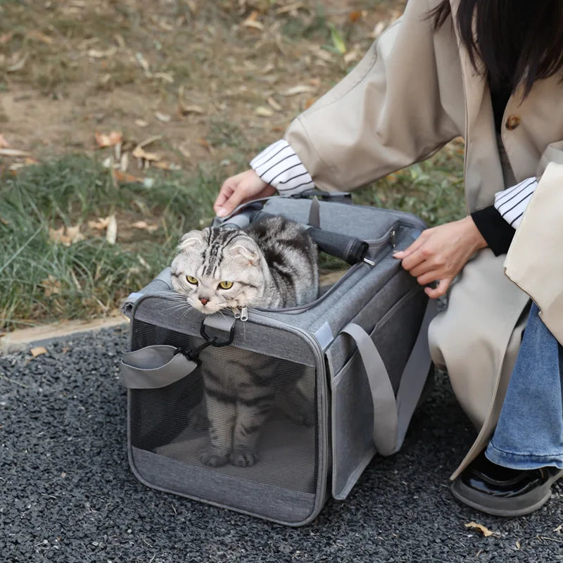 Portable Expandable Small Dog Travel Bag Soft-Sided Transparent Breathable Lightweight Handheld or Crossbody Outdoor Pet Bag Stylish