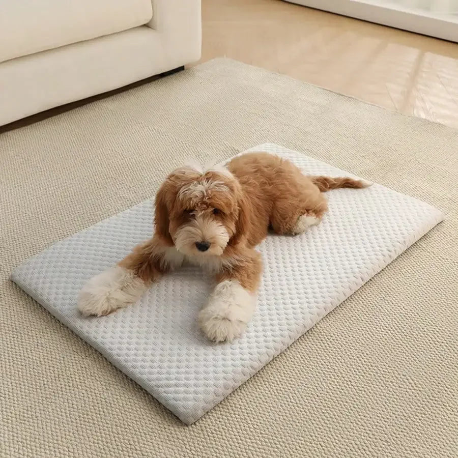 Sponge Cooling Dog Bed, Thick Padding Comfortable Cool Breathable Dog Nest, Non-Slip And Washable Cooling Small Dog Bed, Suitable For All Seasons