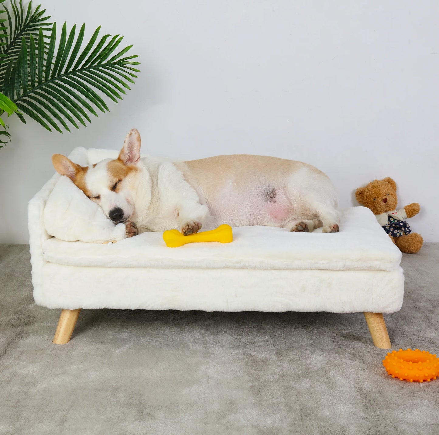 Elevated Bed for Small Dogs, Nordic Pet Bed with Cozy Waterproof Pad, Pet Sofa Bed with Sturdy Wood Legs