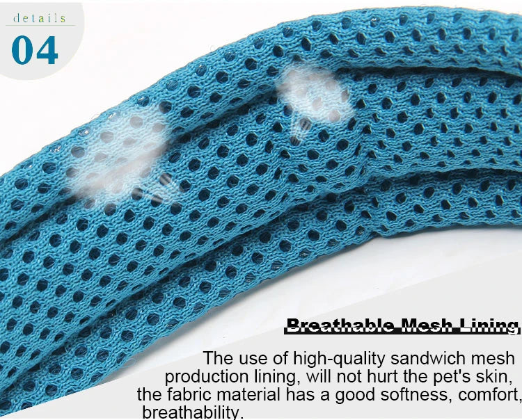 Dog Walking Collar Comfort Padded with Buckle Nylon Traveling Collar Tactical Dog Supplies 11 Colors Size XXS-XXXL