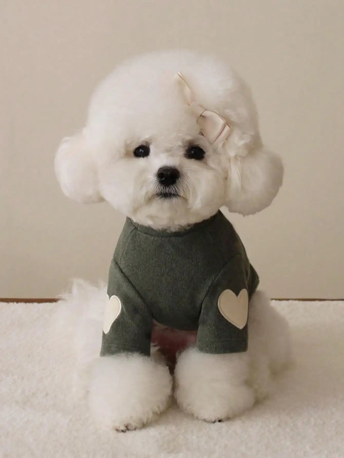 Soft Fleece Pet Hoodie with Heart Patch Design for Small Dogs