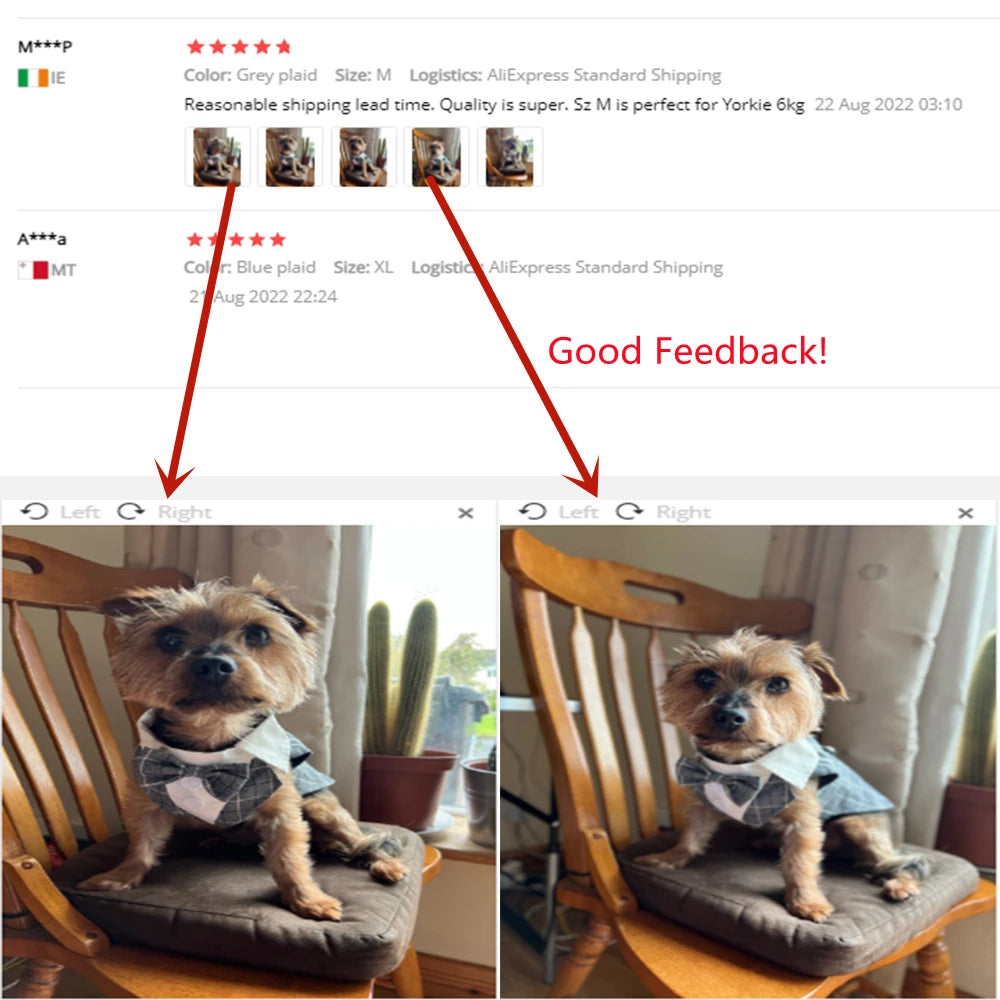 Dog Costume For Small Dogs and Medium Dogs Halloween Apparel Dog Wedding Outfit Clothes Wedding Shirt Clothes Formal Tuxedo