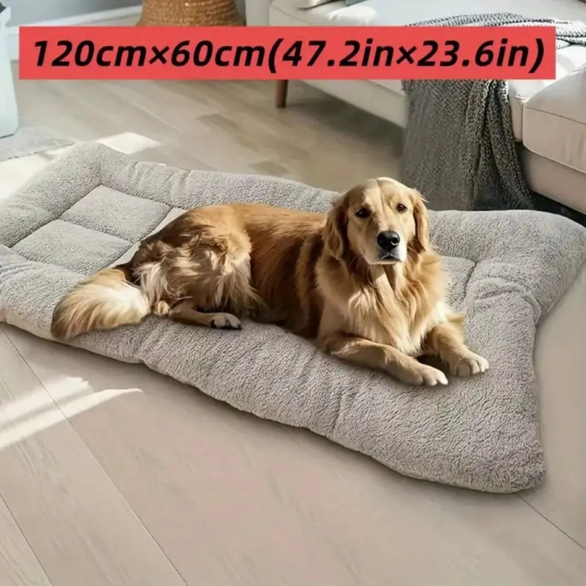 All Season Thickened Plush Dog Bed - Spacious Anti-Slip Pet Sofa for Small and Medium Dogs - Super Soft Washable Polyester
