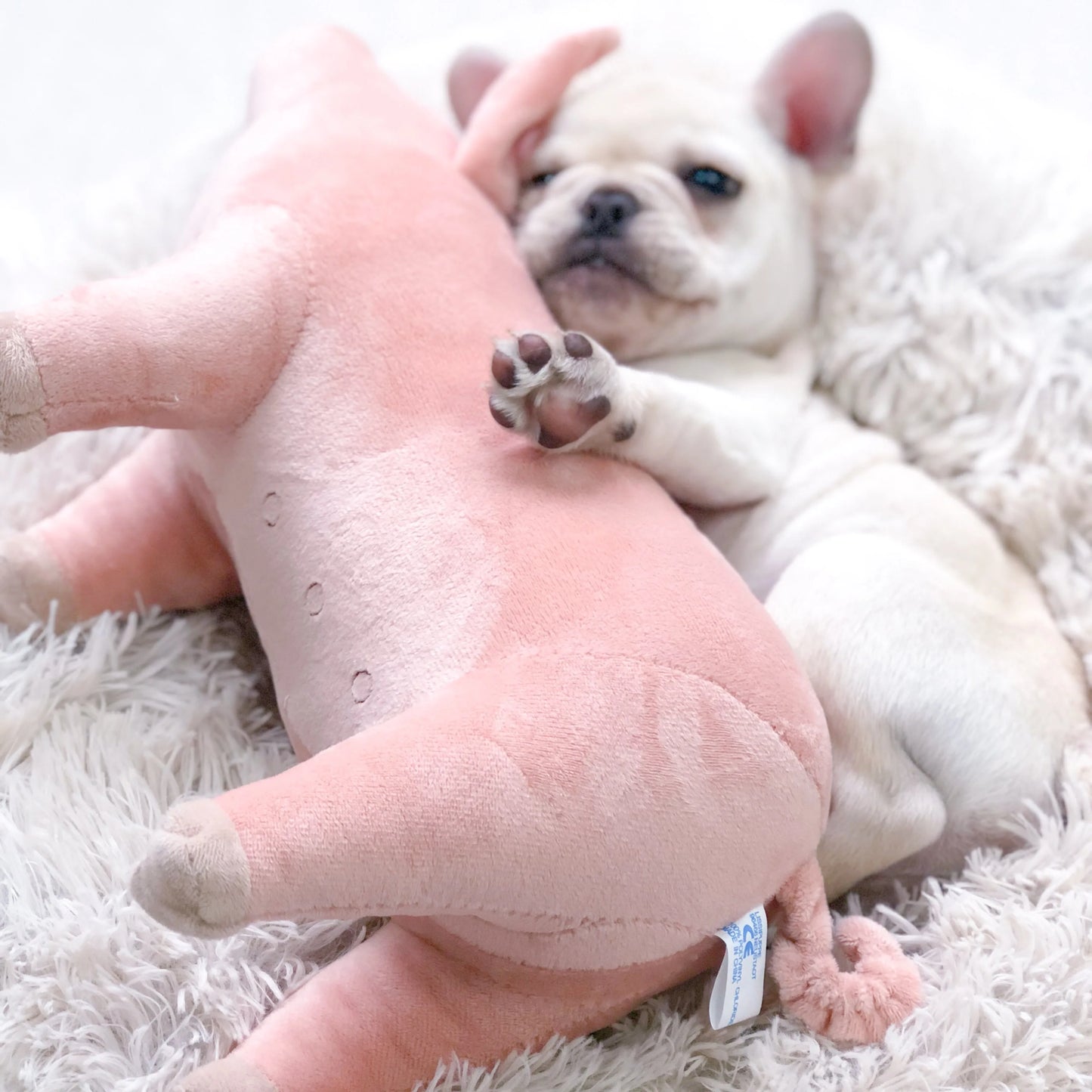 Plush Pig Soothing Sleeping Toys for Small Dogs French Bulldog Bite Molar Venting Supplies Puppy Dog Playing Toy