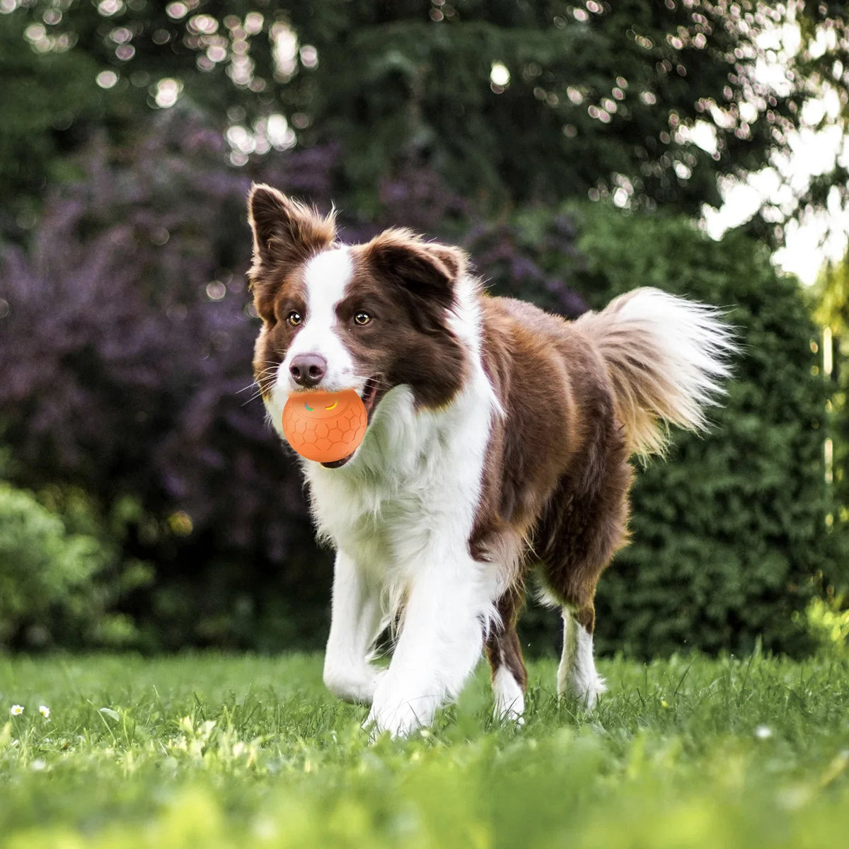 Smart Interactive Dog Toy Ball Electronic Pet Toy Ball Automatic Bouncing Rolling Toy Ball With Lights Puppy Product