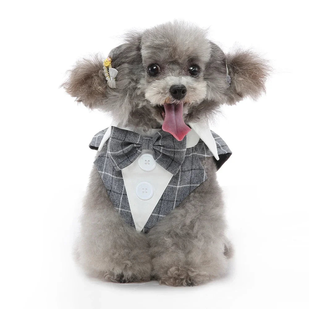 Dog Costume For Small Dogs and Medium Dogs Halloween Apparel Dog Wedding Outfit Clothes Wedding Shirt Clothes Formal Tuxedo