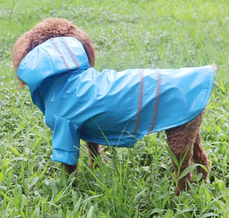 Summer Outdoor Puppy Pet Rain Coat Small Hoody Waterproof Jackets Raincoat for Dogs Cats Apparel Clothes