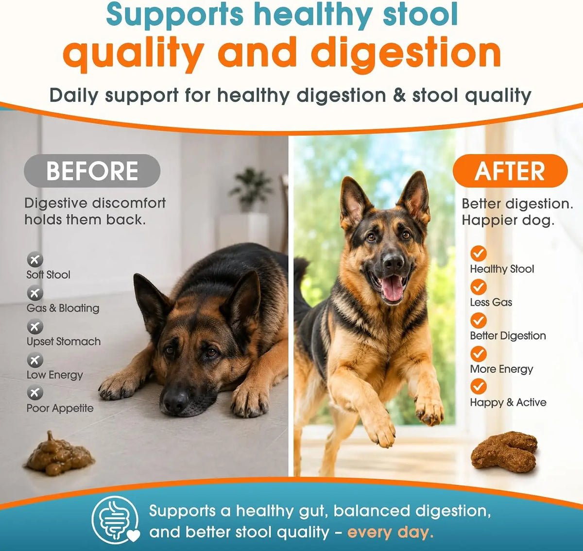 Soft Chews 120 Count Probiotics for Dogs Digestion & Stool Support – Bacillus Coagulans + FOS Prebiotics + Digestive Enzymes Formula