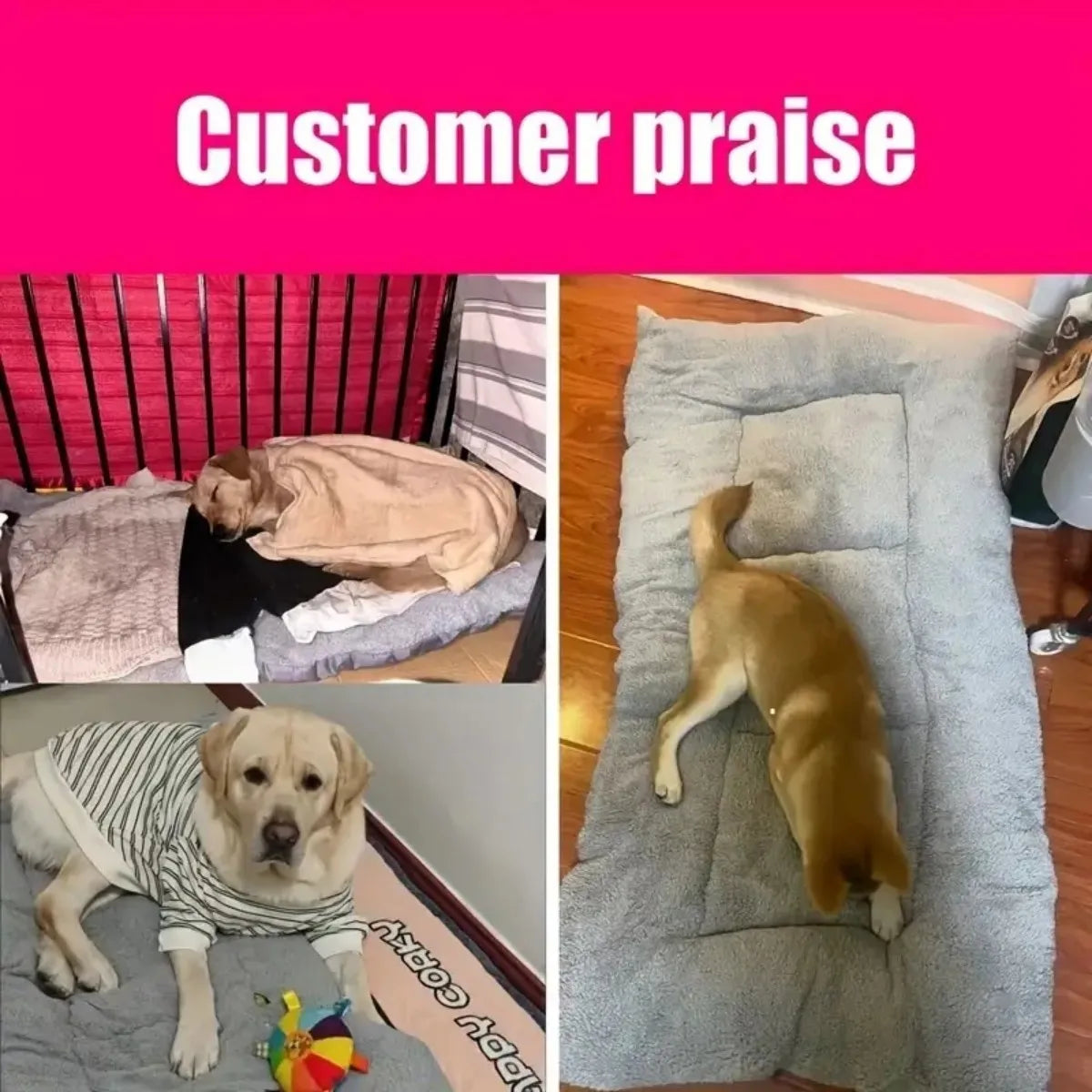 All Season Thickened Plush Dog Bed - Spacious Anti-Slip Pet Sofa for Small and Medium Dogs - Super Soft Washable Polyester