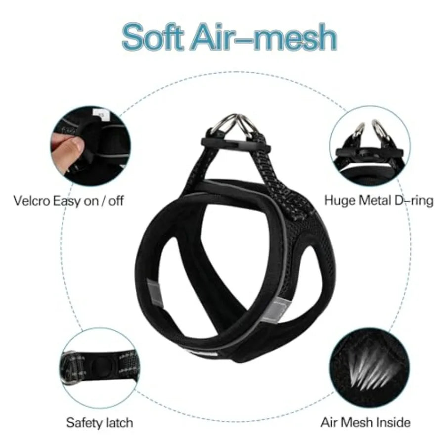 Dog Harness for Small Dogs and Leash Set, Honeycomb Grid, Reflective Lightweight Harness and Anti-Twist Pet Lead Multi Color
