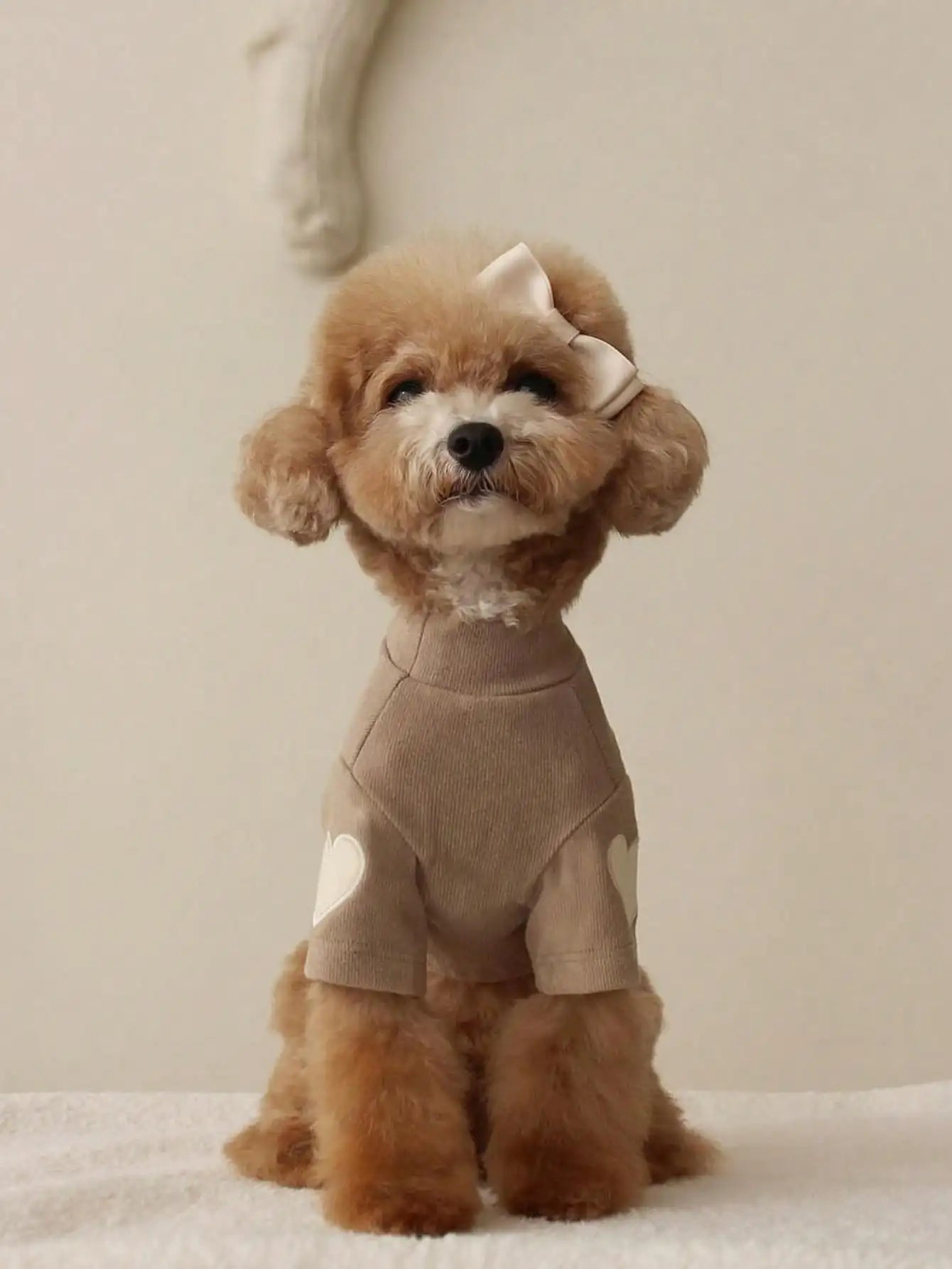 Soft Fleece Pet Hoodie with Heart Patch Design for Small Dogs