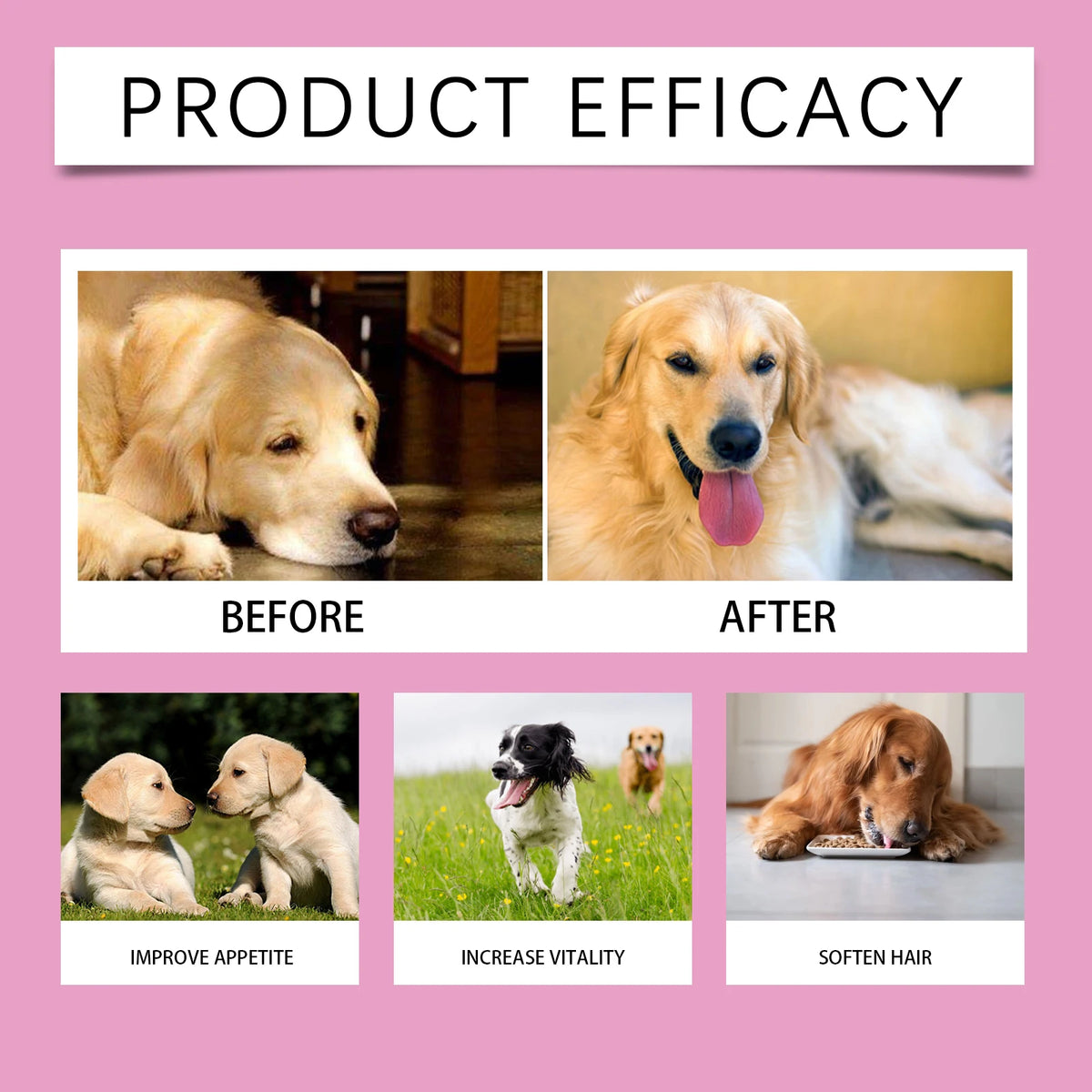 Pet Probiotic Chewable Tablets for Dogs Digestive Health Gut Flora Immune Support Diarrhea Relief Prebiotics Digestive Enzymes Chicken Flavor Daily Supplement for Puppy Sensitive Stomach Safe Natural Effective