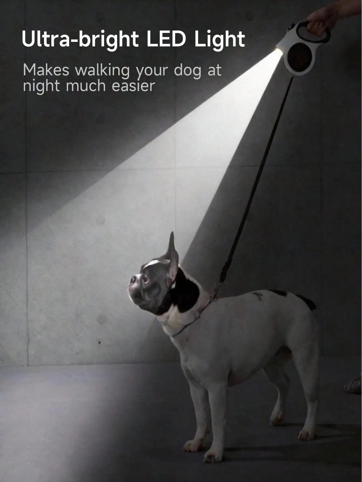 Retractable Dog Leash with LED Flashlight 5M/16FT, Ergonomic Anti-Slip Handle, Heavy Duty Nylon Pet Walking Leash for Dogs Under 25kg Night Walking
