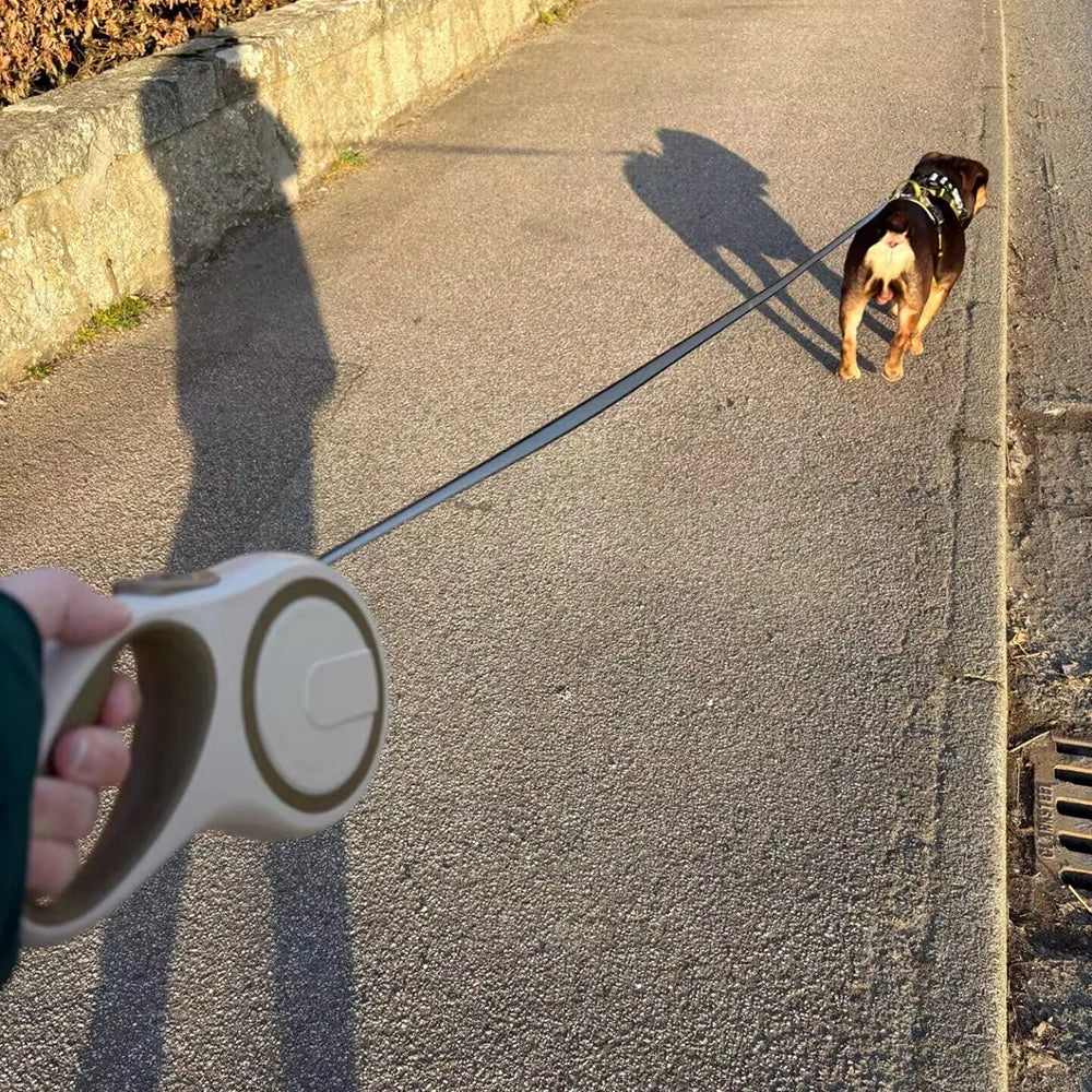 8m Large Dog Leash Retractable Pet Extendable Strap Outdoor Training Puppy Traction Belt For Small Dogs Cat Pug Labrodor Product