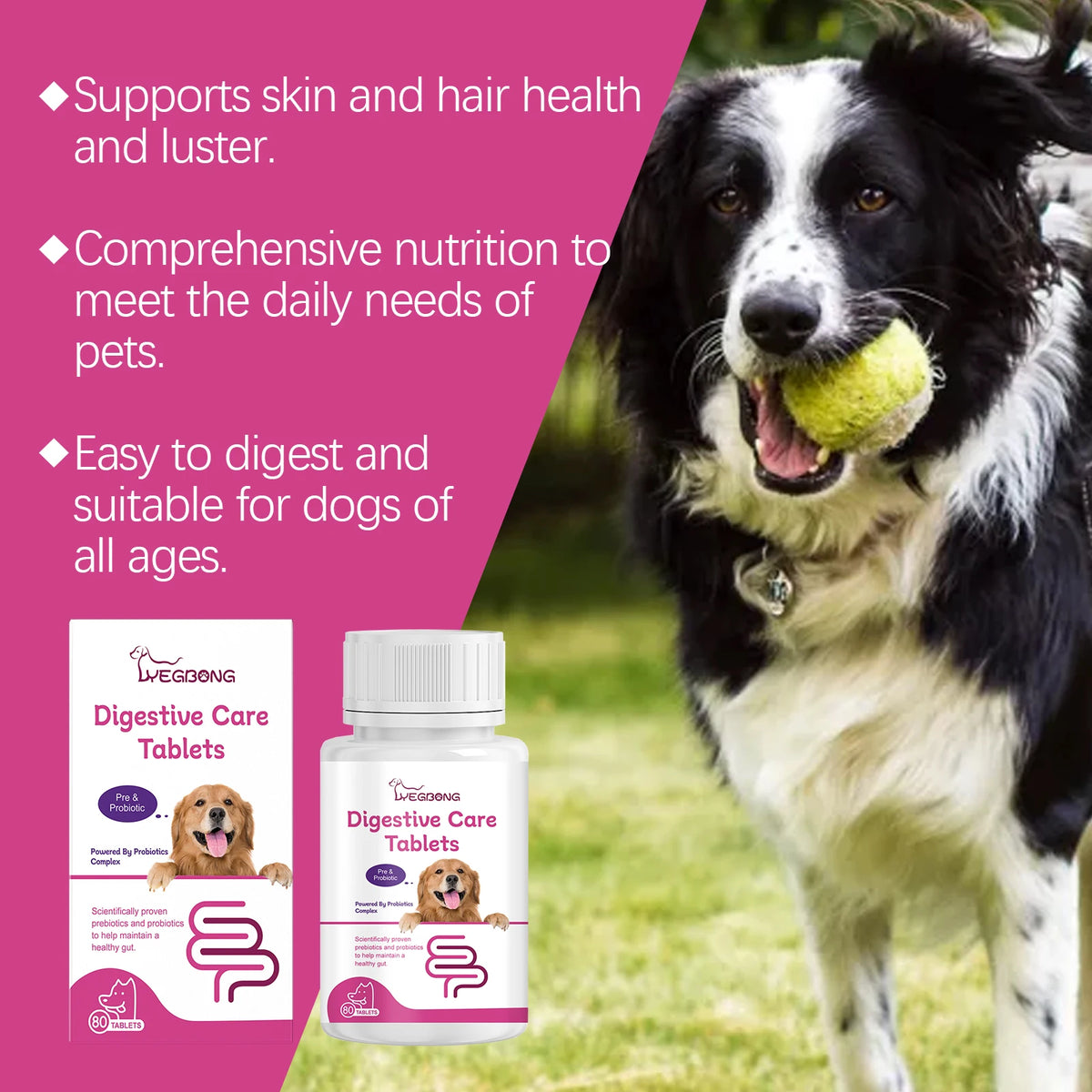 Pet Probiotic Chewable Tablets for Dogs Digestive Health Gut Flora Immune Support Diarrhea Relief Prebiotics Digestive Enzymes Chicken Flavor Daily Supplement for Puppy Sensitive Stomach Safe Natural Effective