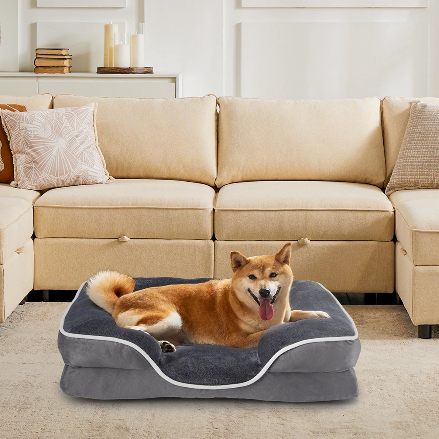 Orthopedic Dog Bed Memory Foam Pet Bed for Small Dogs with Washable Removable Cover Non-Slip Base Waterproof Liner