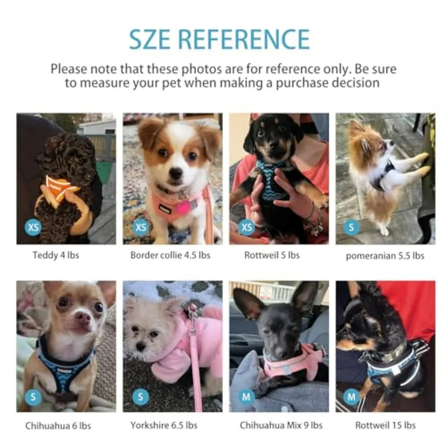 Dog Harness for Small Dogs and Leash Set, Honeycomb Grid, Reflective Lightweight Harness and Anti-Twist Pet Lead Multi Color