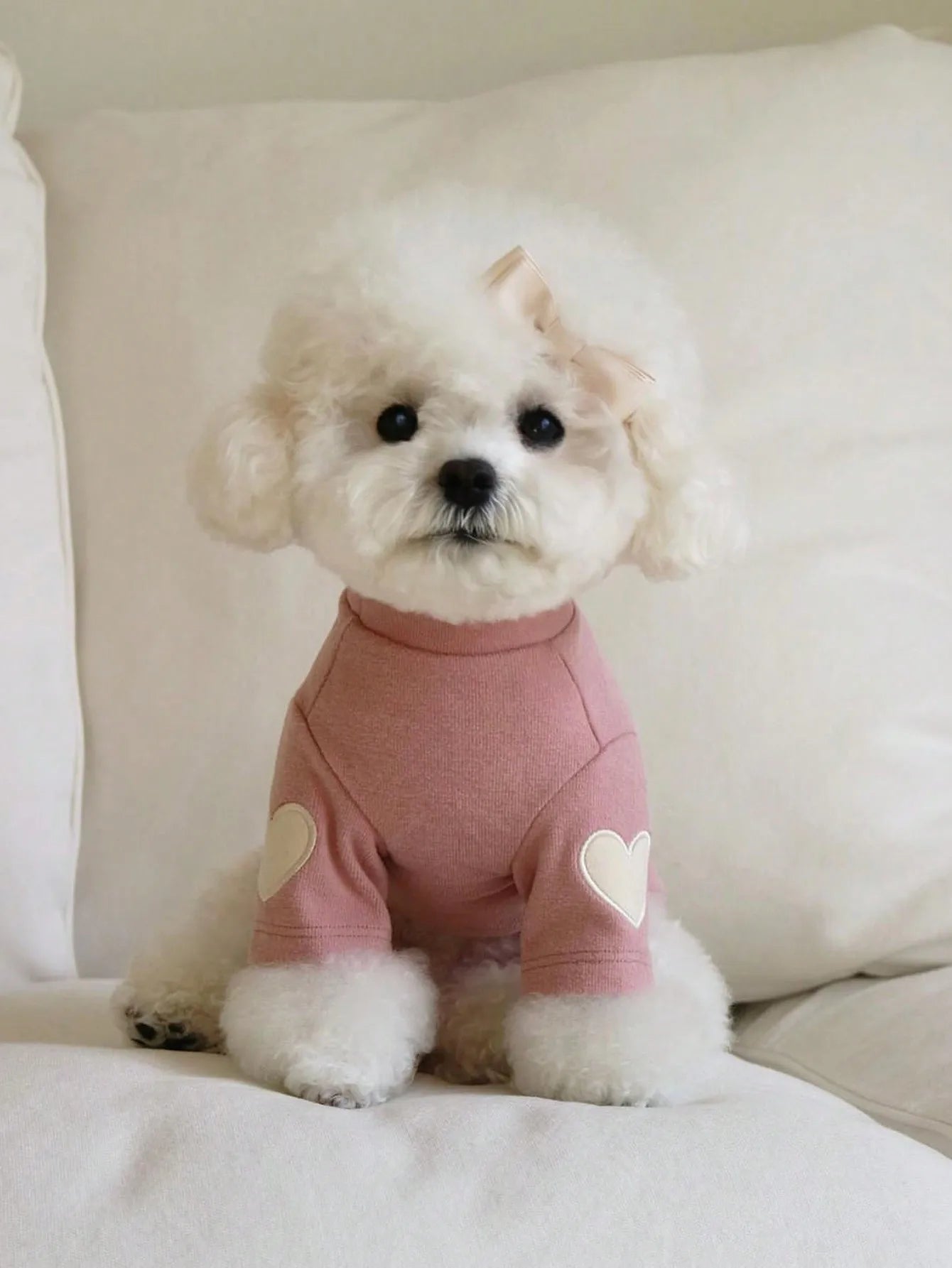 Soft Fleece Pet Hoodie with Heart Patch Design for Small Dogs