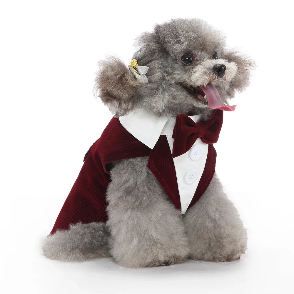 Dog Costume For Small Dogs and Medium Dogs Halloween Apparel Dog Wedding Outfit Clothes Wedding Shirt Clothes Formal Tuxedo