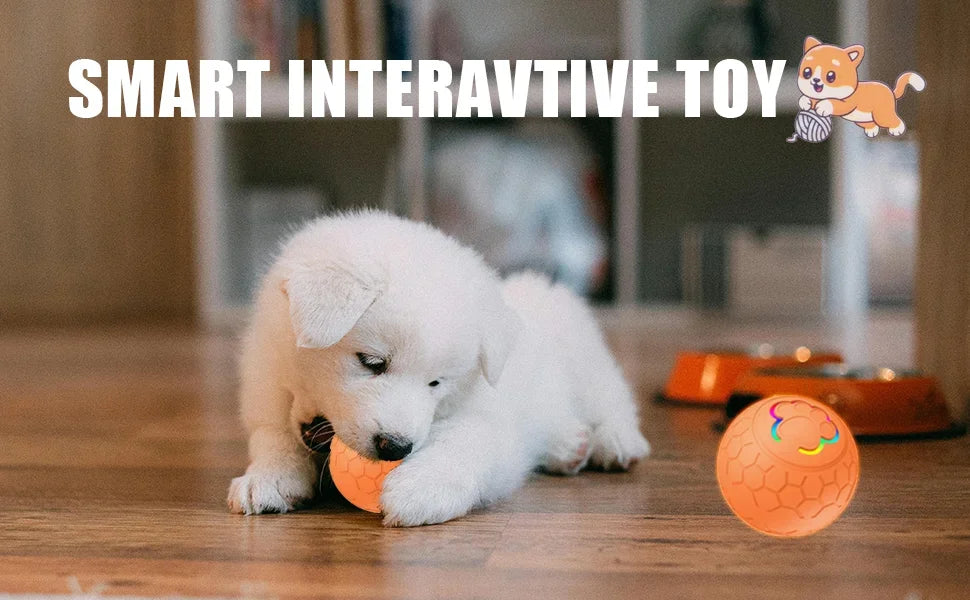 Smart Interactive Dog Toy Ball Electronic Pet Toy Ball Automatic Bouncing Rolling Toy Ball With Lights Puppy Product