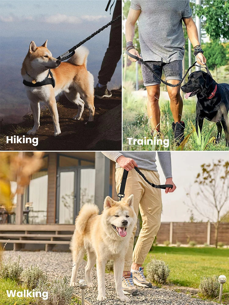 Training and Walking Dog Leashes For Small Medium and Large Dogs, Adjustable Leash Quick Release Elastic Rope With 2 Control Handles