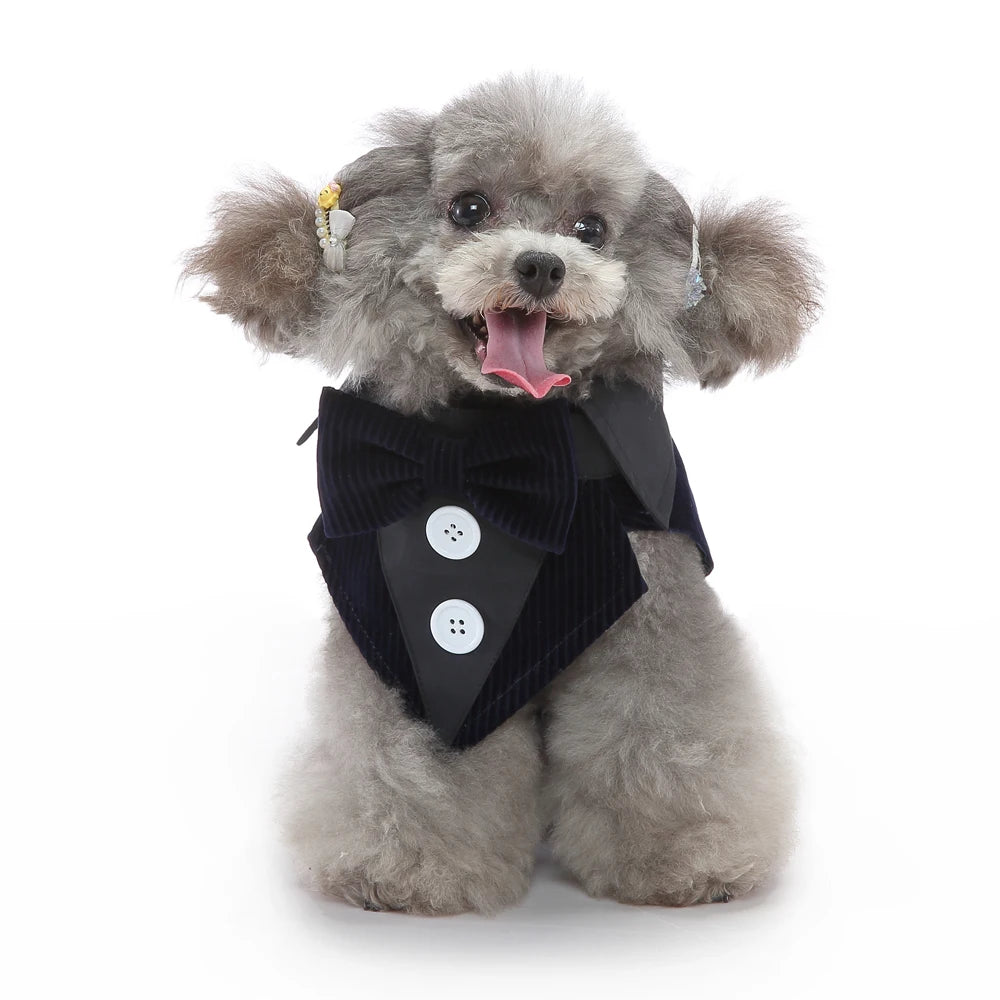 Dog Costume For Small Dogs and Medium Dogs Halloween Apparel Dog Wedding Outfit Clothes Wedding Shirt Clothes Formal Tuxedo
