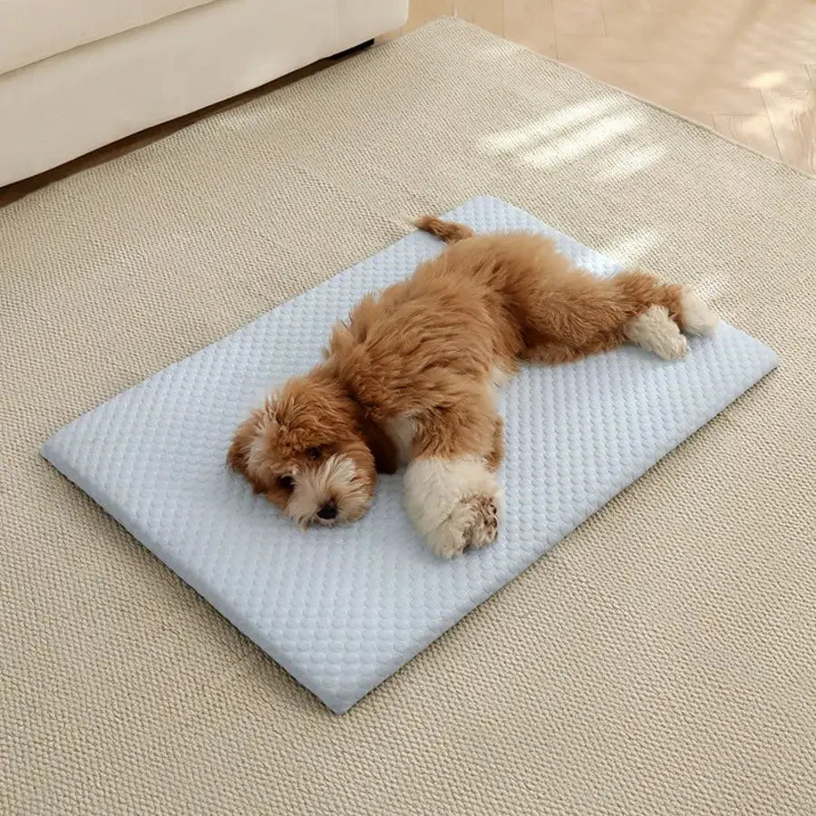 Sponge Cooling Dog Bed, Thick Padding Comfortable Cool Breathable Dog Nest, Non-Slip And Washable Cooling Small Dog Bed, Suitable For All Seasons