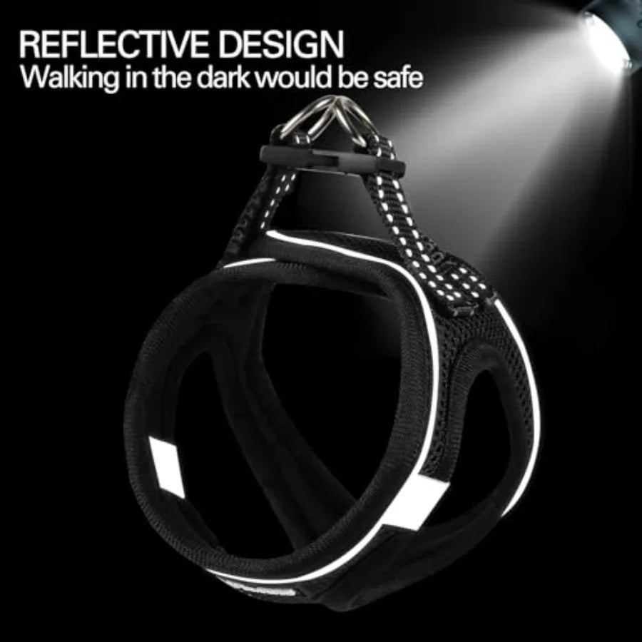 Dog Harness for Small Dogs and Leash Set, Honeycomb Grid, Reflective Lightweight Harness and Anti-Twist Pet Lead Multi Color