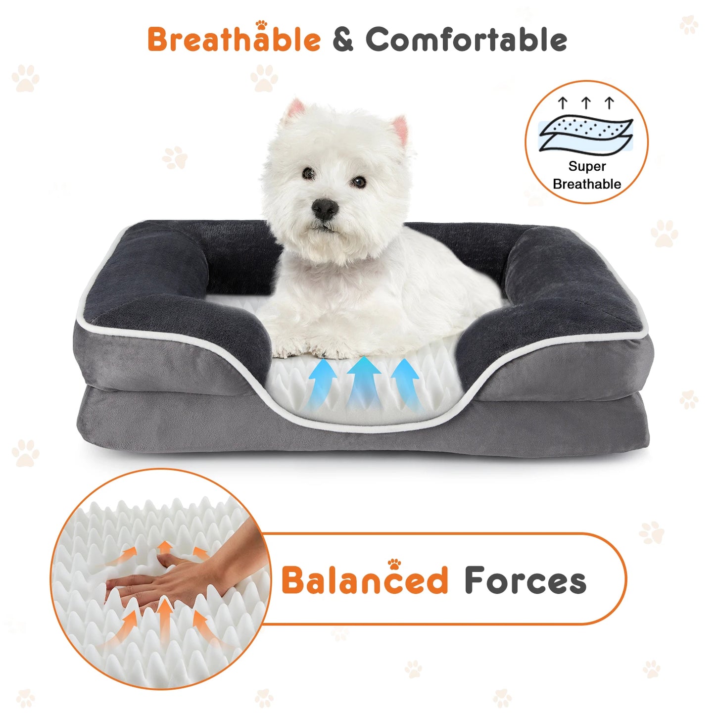 Orthopedic Dog Bed Memory Foam Pet Bed for Small Dogs with Washable Removable Cover Non-Slip Base Waterproof Liner