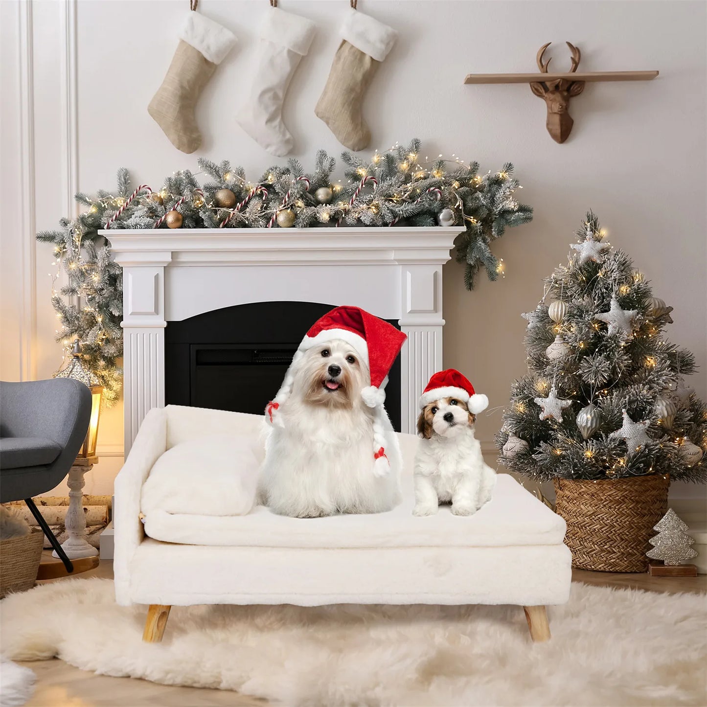 Elevated Bed for Small Dogs, Nordic Pet Bed with Cozy Waterproof Pad, Pet Sofa Bed with Sturdy Wood Legs