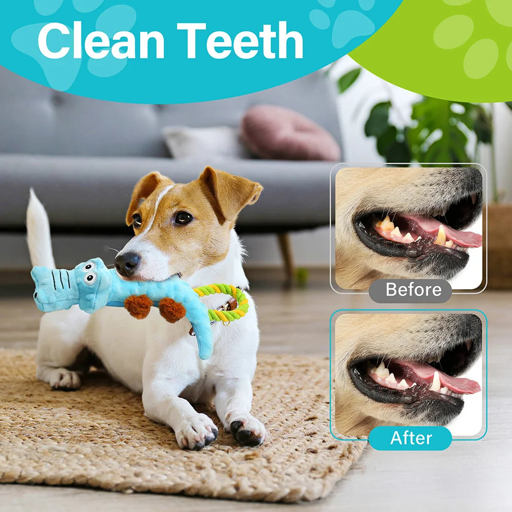 Small Dog Squeaky Toy, 2 Pack, Tug of War Dog Toys for Dogs Interactive Plush Puppy Chew Toy Plush Sound Squeak Toys Pet Supplies