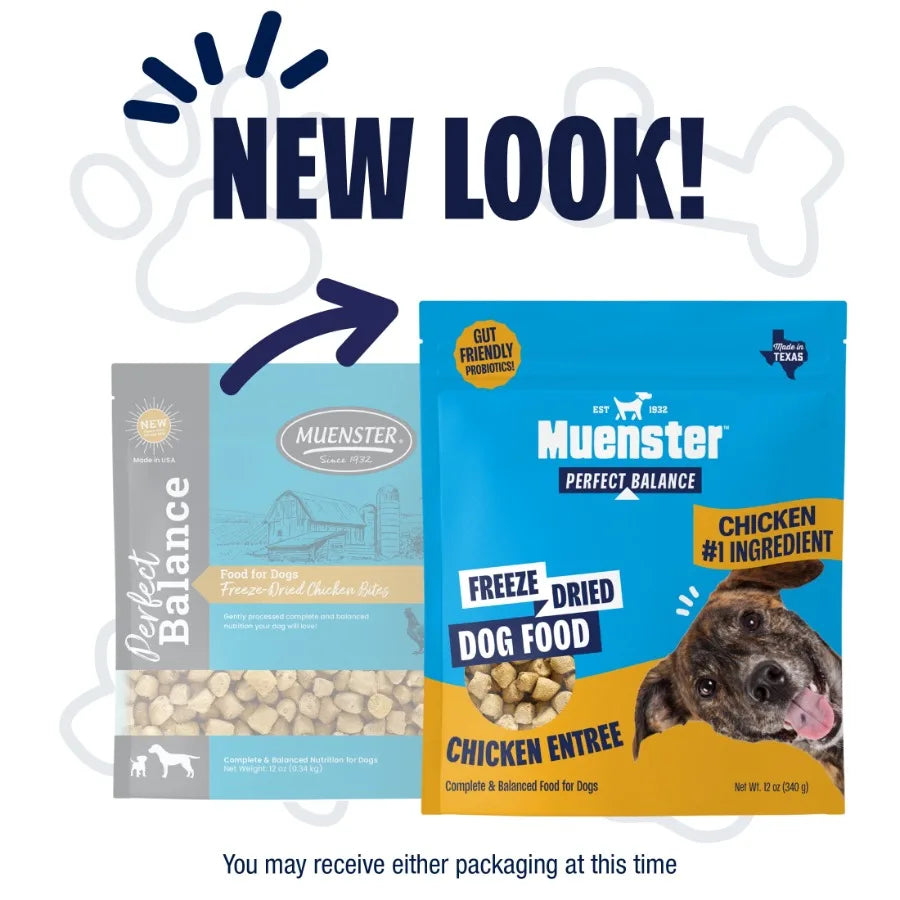 Perfect Balance Chicken Bites Freeze-Dried Dog Food, for All Life Stages, use as a Meal, Meal Topper or Training Treat, 12 oz P