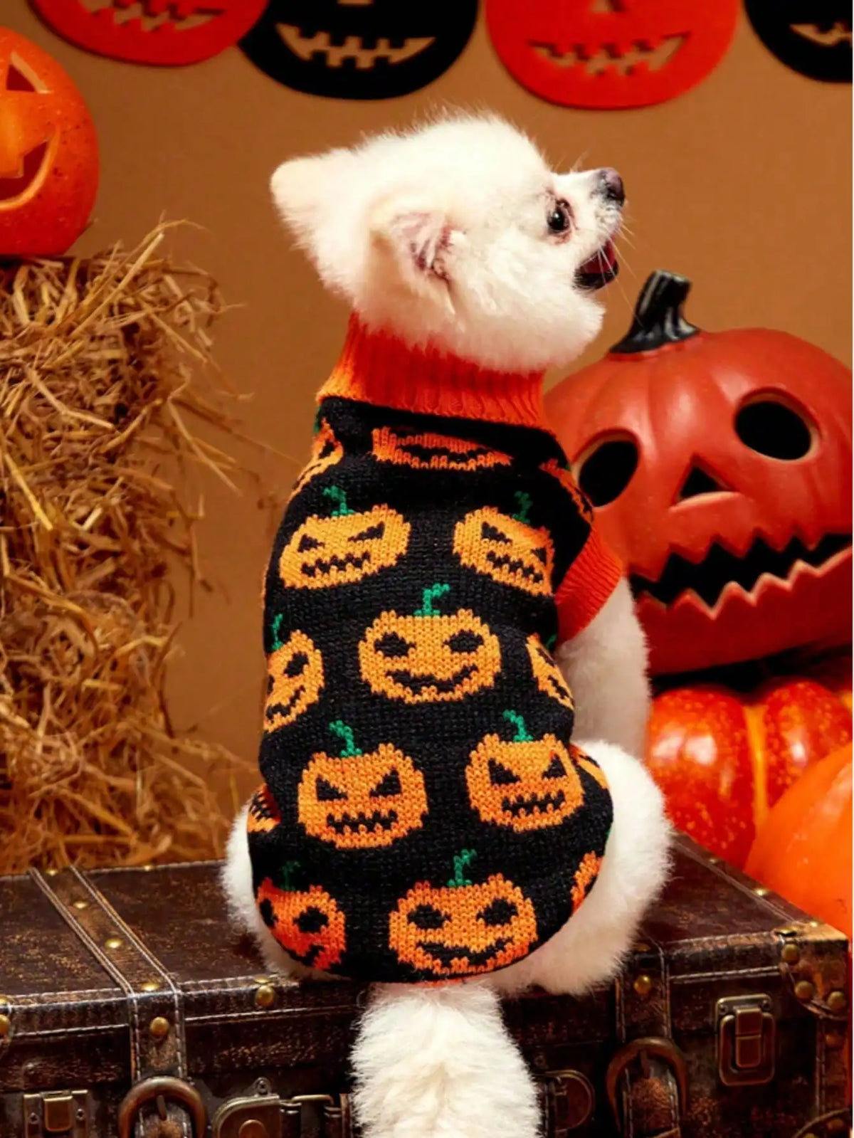 Pumpkin Face Printed 1 piece Sweater for Small And Medium Sized Dogs Halloween Ghost Festival Color Blocked Warm Knitted Sweater Pet Clothing