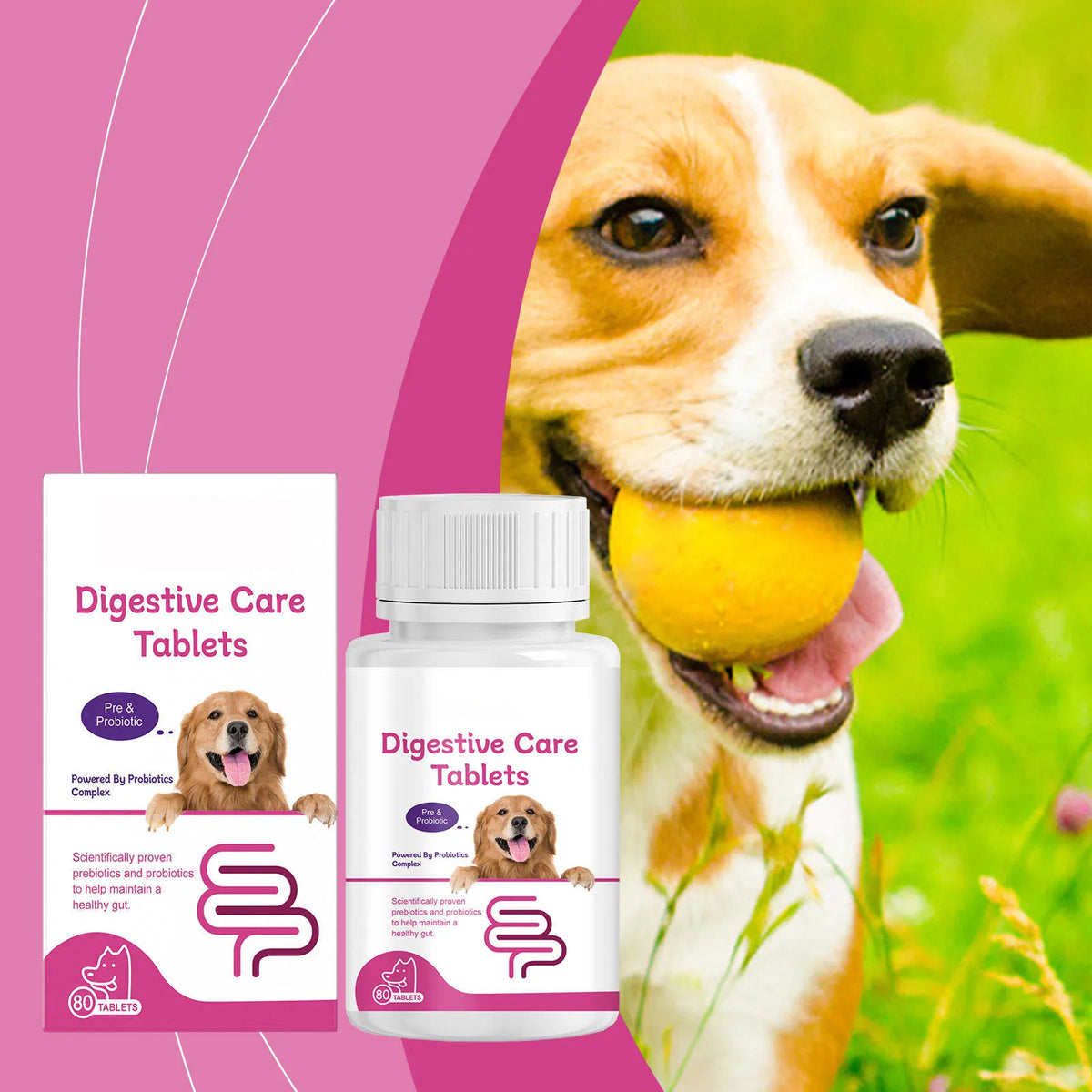 Pet Probiotic Chewable Tablets for Dogs Digestive Health Gut Flora Immune Support Diarrhea Relief Prebiotics Digestive Enzymes Chicken Flavor Daily Supplement for Puppy Sensitive Stomach Safe Natural Effective